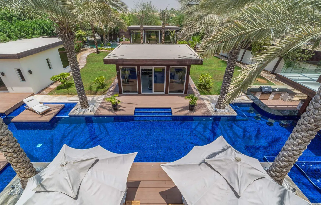 Photo wallpaper palm trees, Villa, pool, resort, Dubai, UAE, Emirates, Bromellia