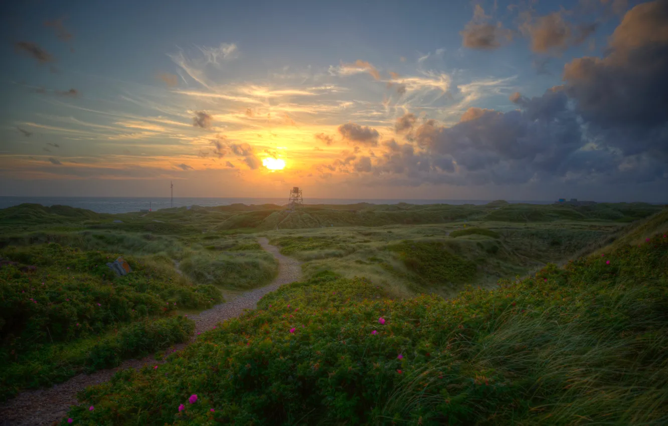 Photo wallpaper sea, the sky, grass, the sun, clouds, flowers, dawn, coast