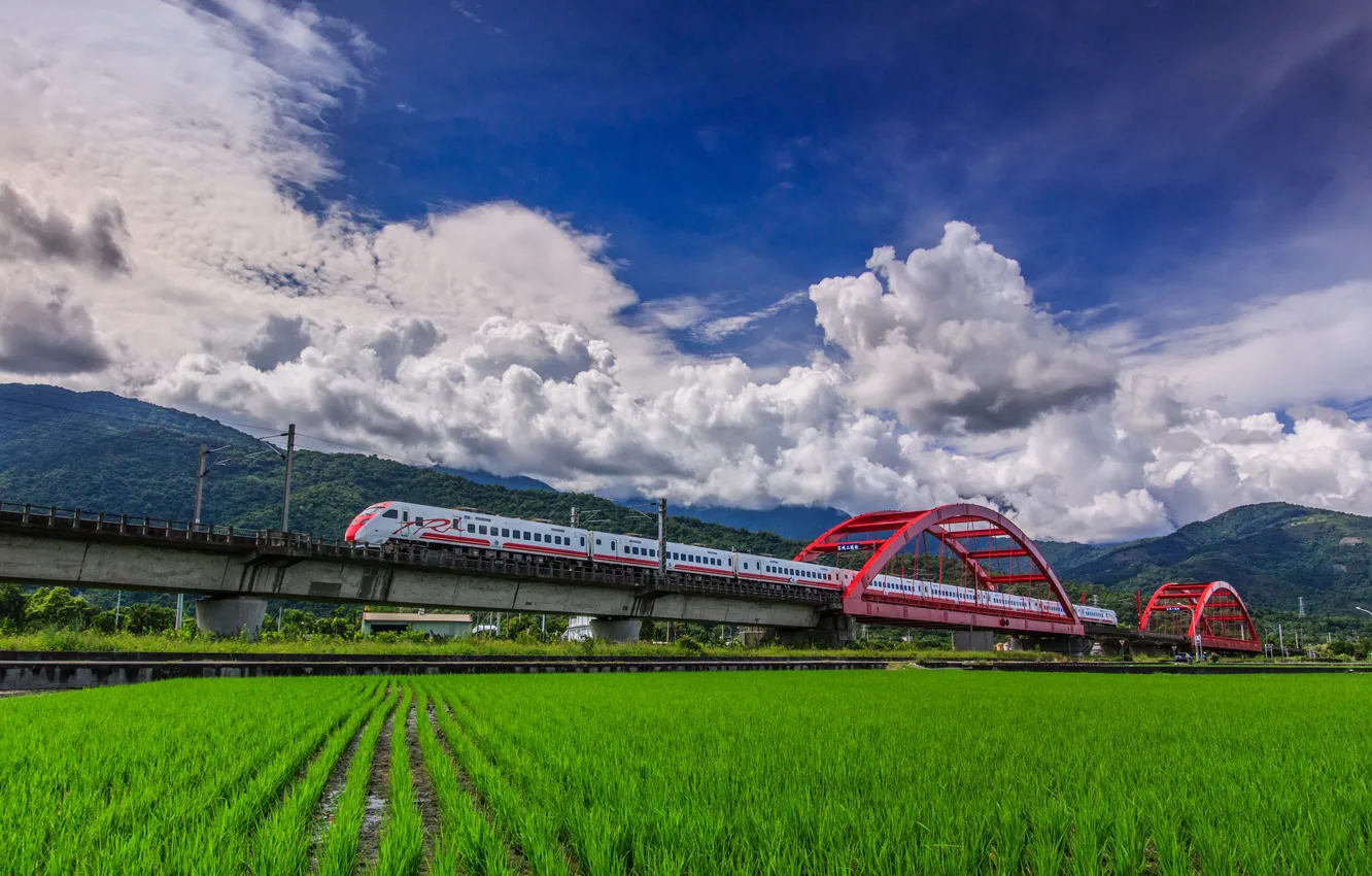 Photo wallpaper field, bridge, train