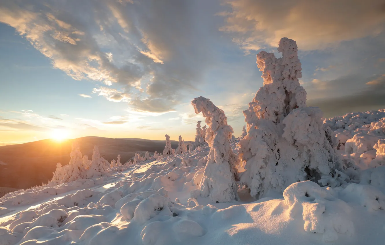 Photo wallpaper winter, forest, the sky, the sun, clouds, snow, mountains, dawn