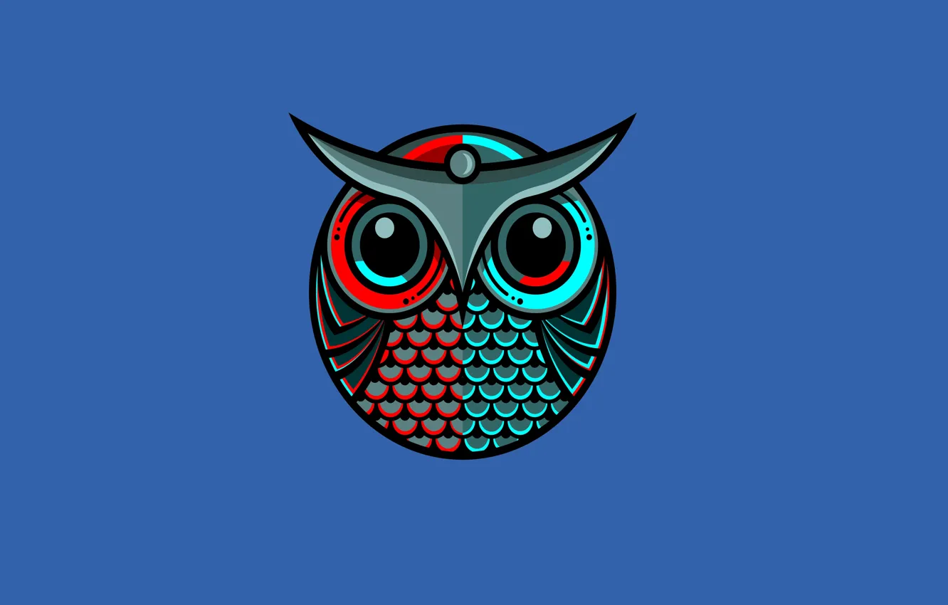 Photo wallpaper blue, owl, bird, minimalism, owl