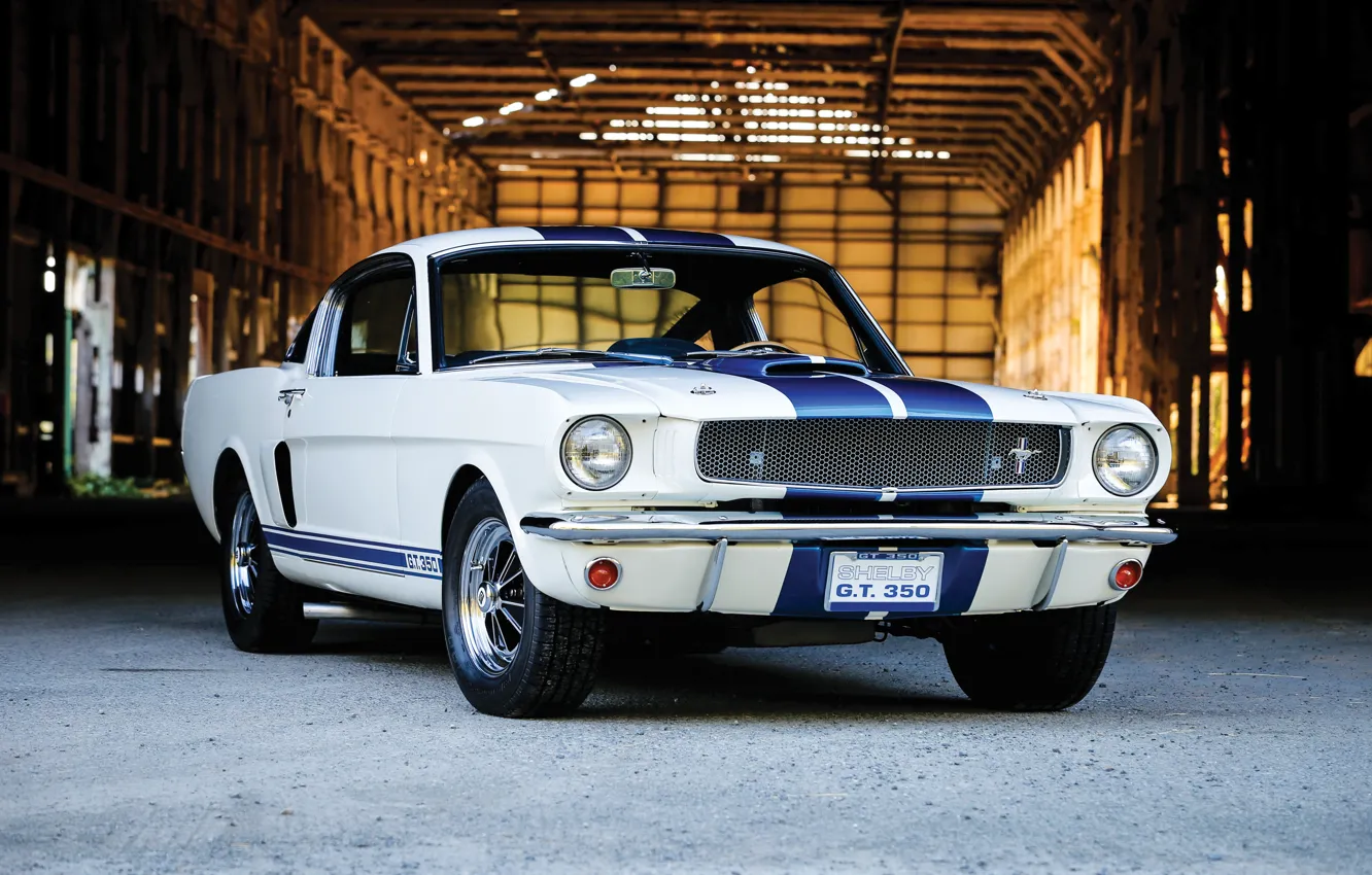 Photo wallpaper Mustang, Ford, muscle car, Ford Mustang Shelby GT350