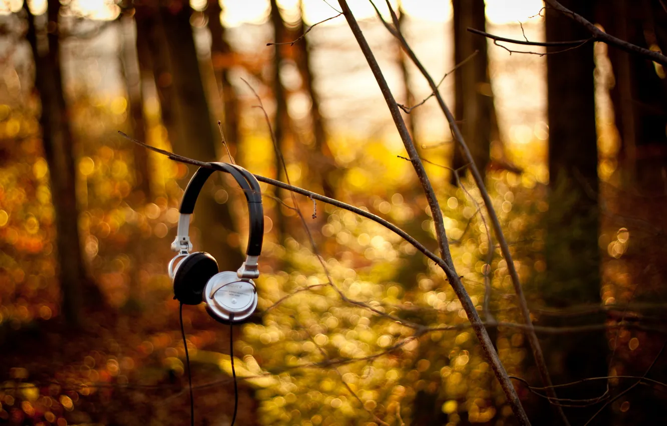 Photo wallpaper forest, branches, Headphones, sony
