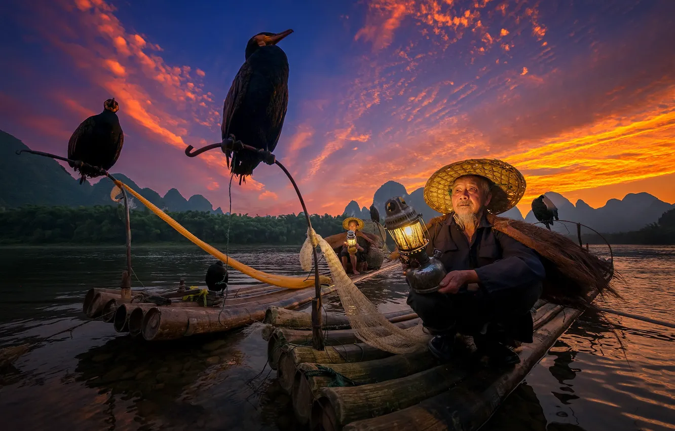Photo wallpaper bird, boat, fisherman, China, cormorants, Guangxi