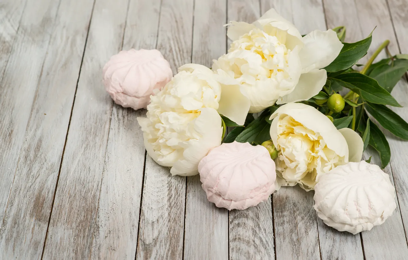 Photo wallpaper white, buds, wood, flowers, romantic, peonies, marshmallows, peonies
