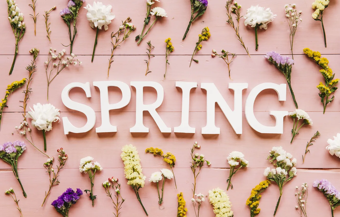 Photo wallpaper flowers, background, pink, spring, pink, flowers, spring, purple