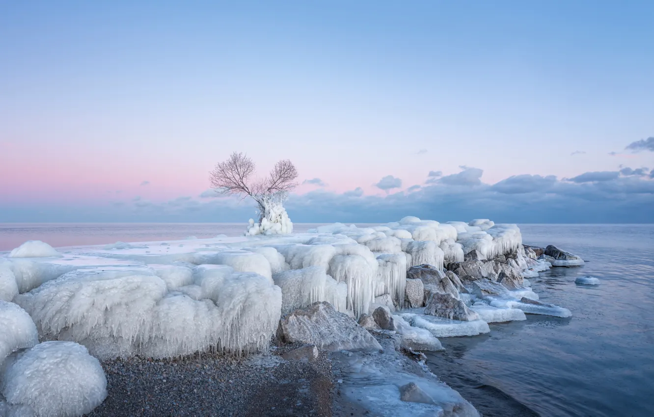 Photo wallpaper ice, winter, snow, trees, shore, pond