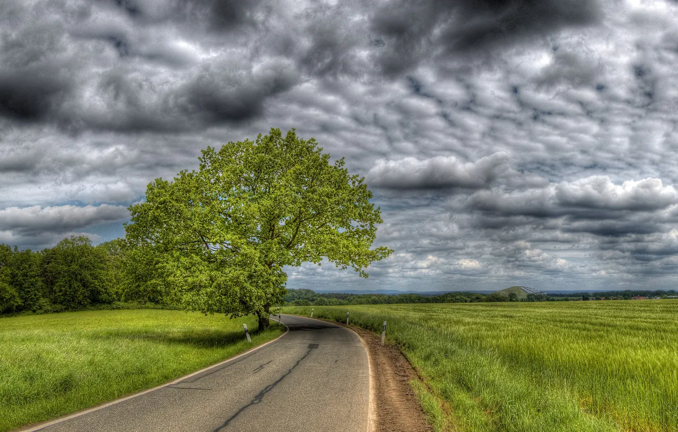 Photo wallpaper road, field, the sky, trees, clouds