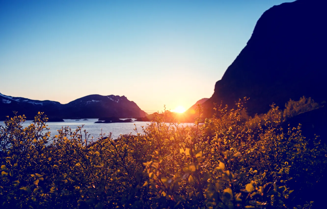 Photo wallpaper the sun, sunset, flowers, mountains, lake, bright, the bushes