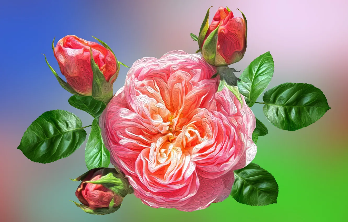 Photo wallpaper Graphics, Flowers, Roses