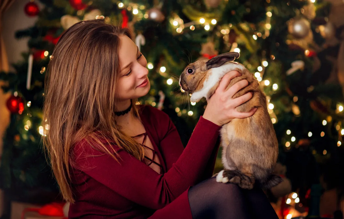 Photo wallpaper look, girl, lights, pose, smile, new year, hare, rabbit