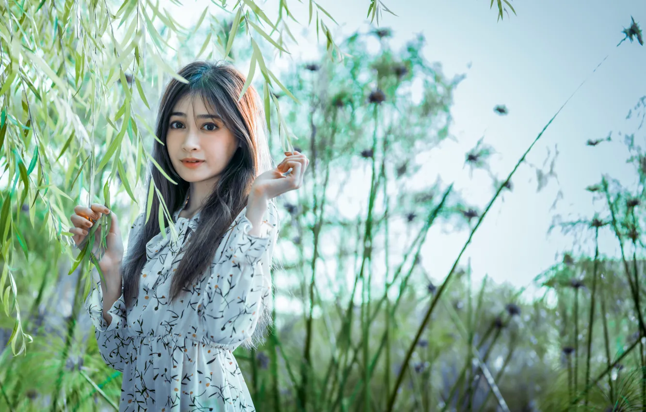 Photo wallpaper look, branches, dress, Asian