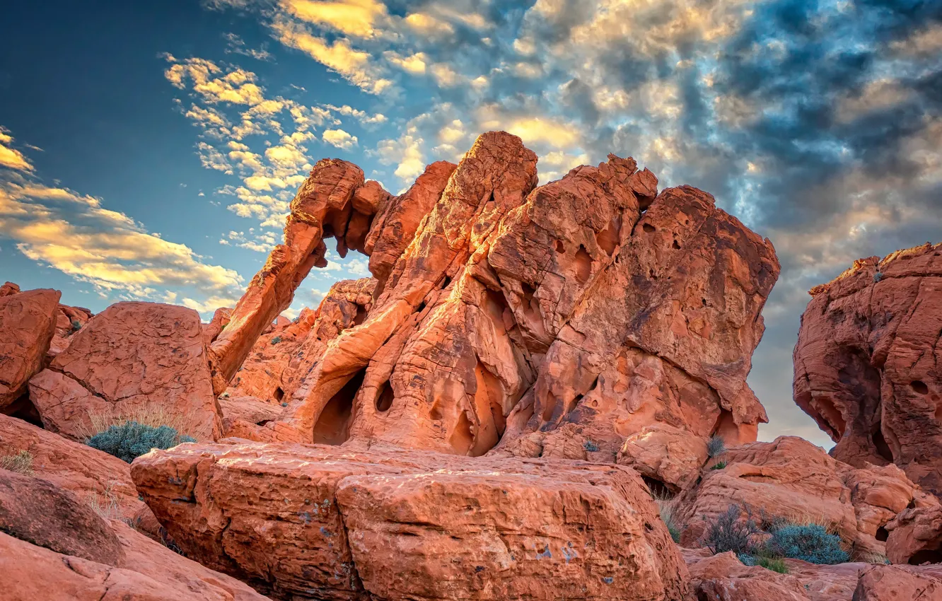 Photo wallpaper United States, Nevada, Elephant Rock, Stewarts Point