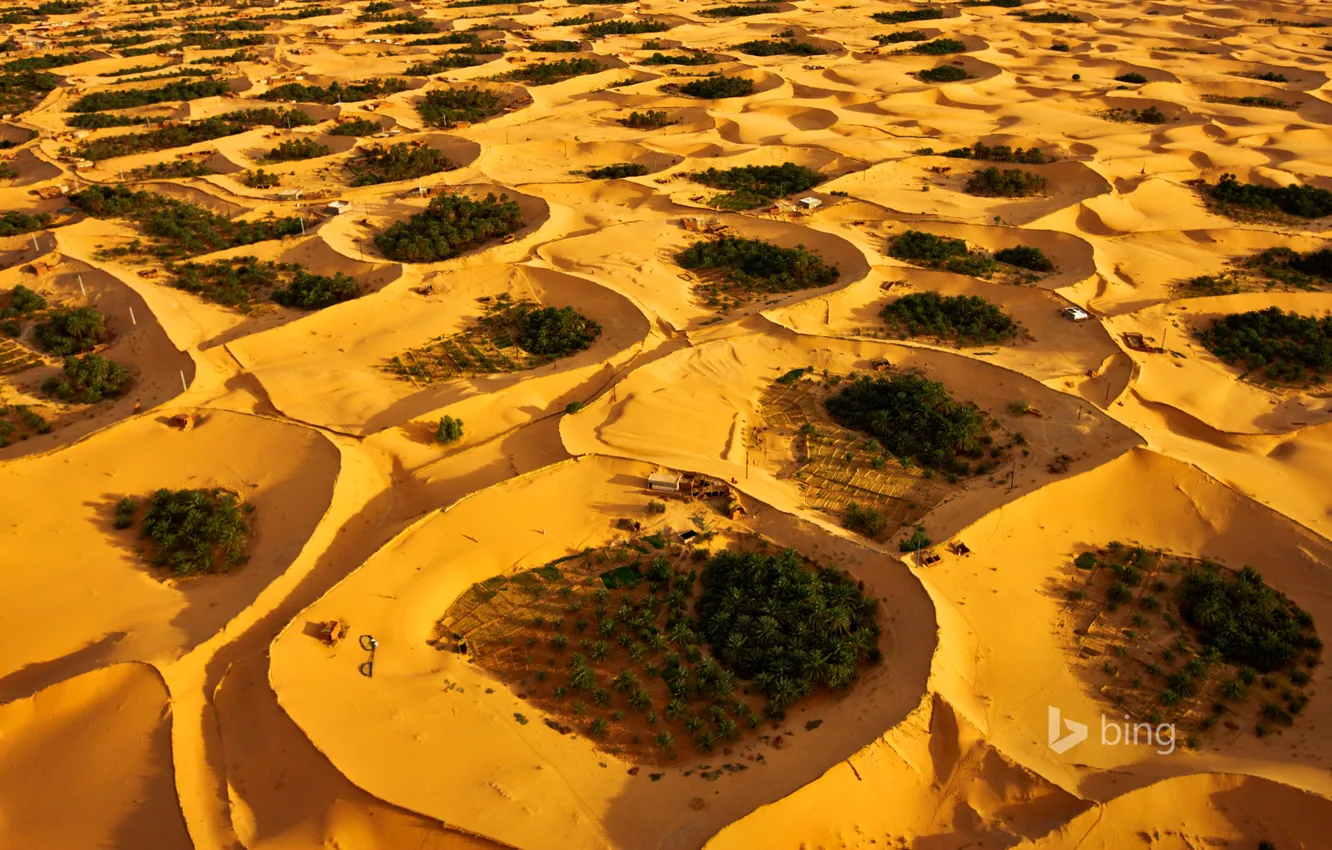 Photo wallpaper desert, dunes, oasis, Algeria, Timimoun, Adjder