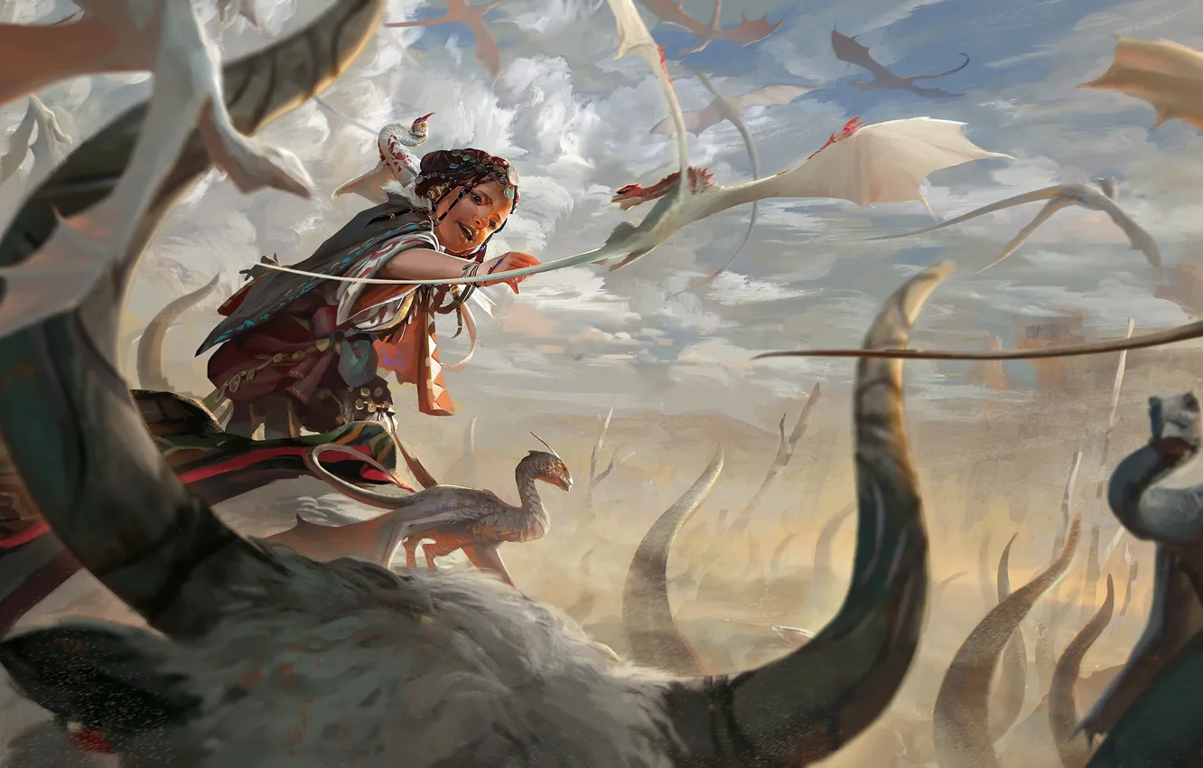 Photo wallpaper birds, fantasy, art, illustration, catcher, Rudy Siswanto