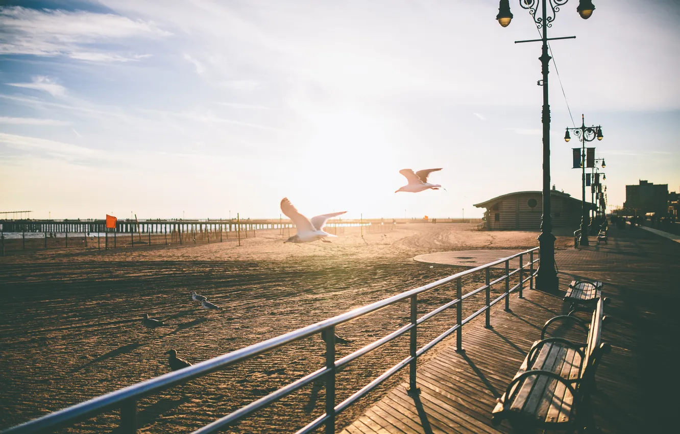 Photo wallpaper beach, the sun, sunset, bench, street, seagulls, shadow, paving