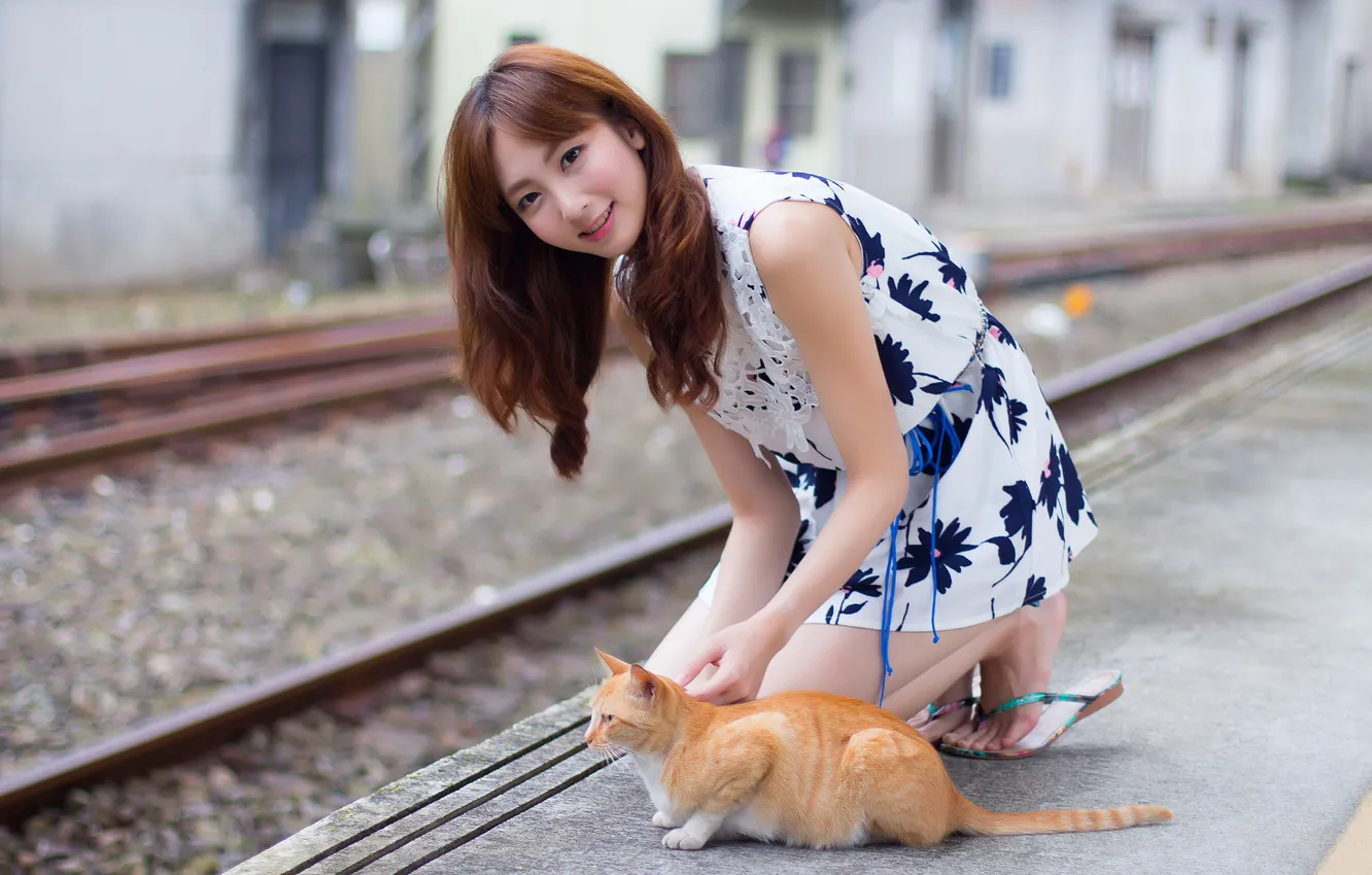 Photo wallpaper cat, girl, Asian