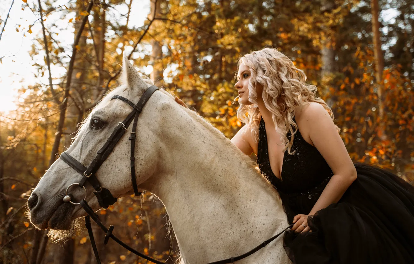 Photo wallpaper horse, dress, blonde, autumn forest