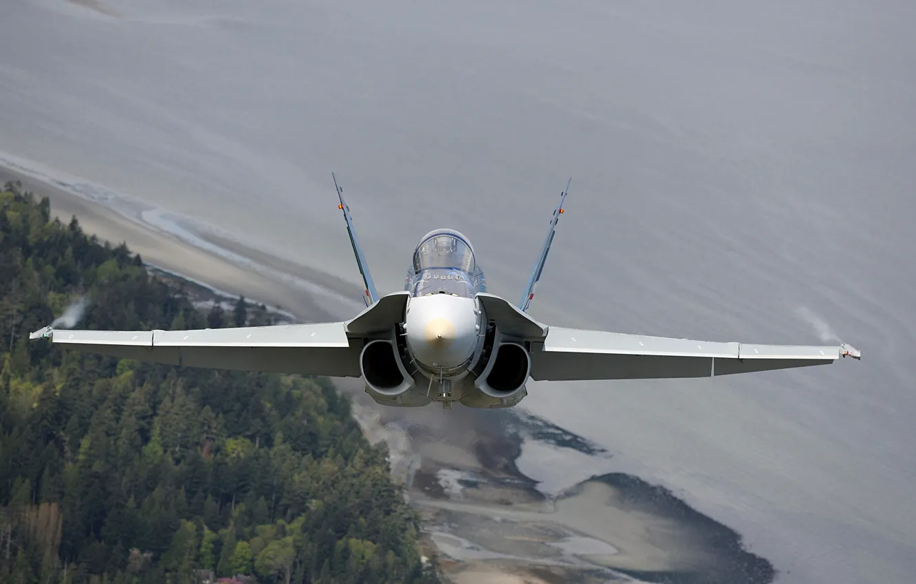 Photo wallpaper fighter, cabin, multipurpose, Hornet, CF-18