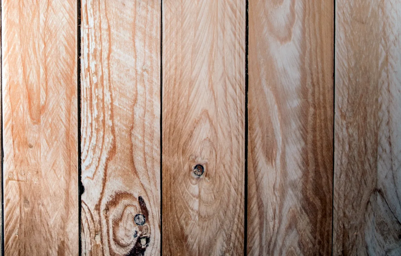 Photo wallpaper trees, Board, texture