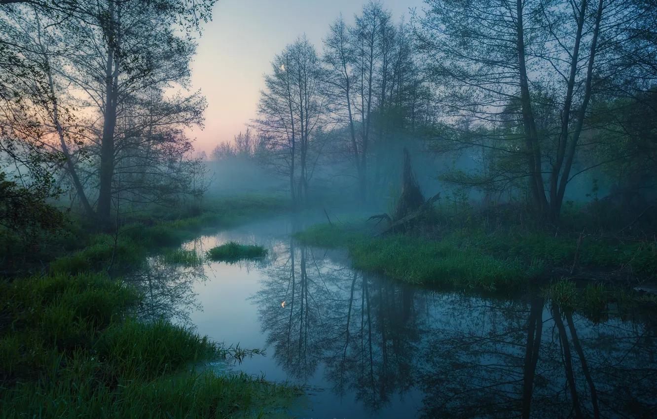 Photo wallpaper fog, grassland, stream