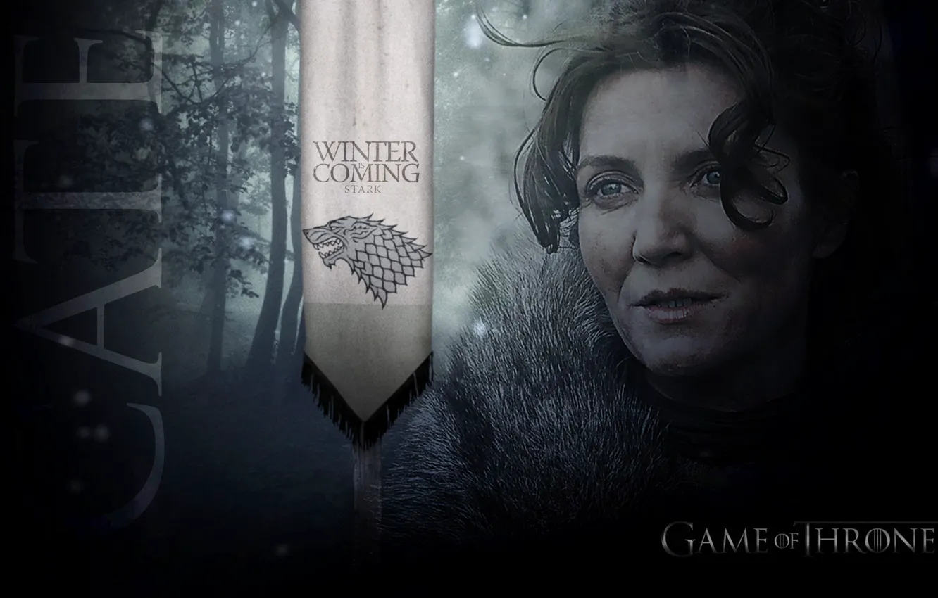 Photo wallpaper sword, Game of thrones, the game of thrones, Catelyn Stark, the severity