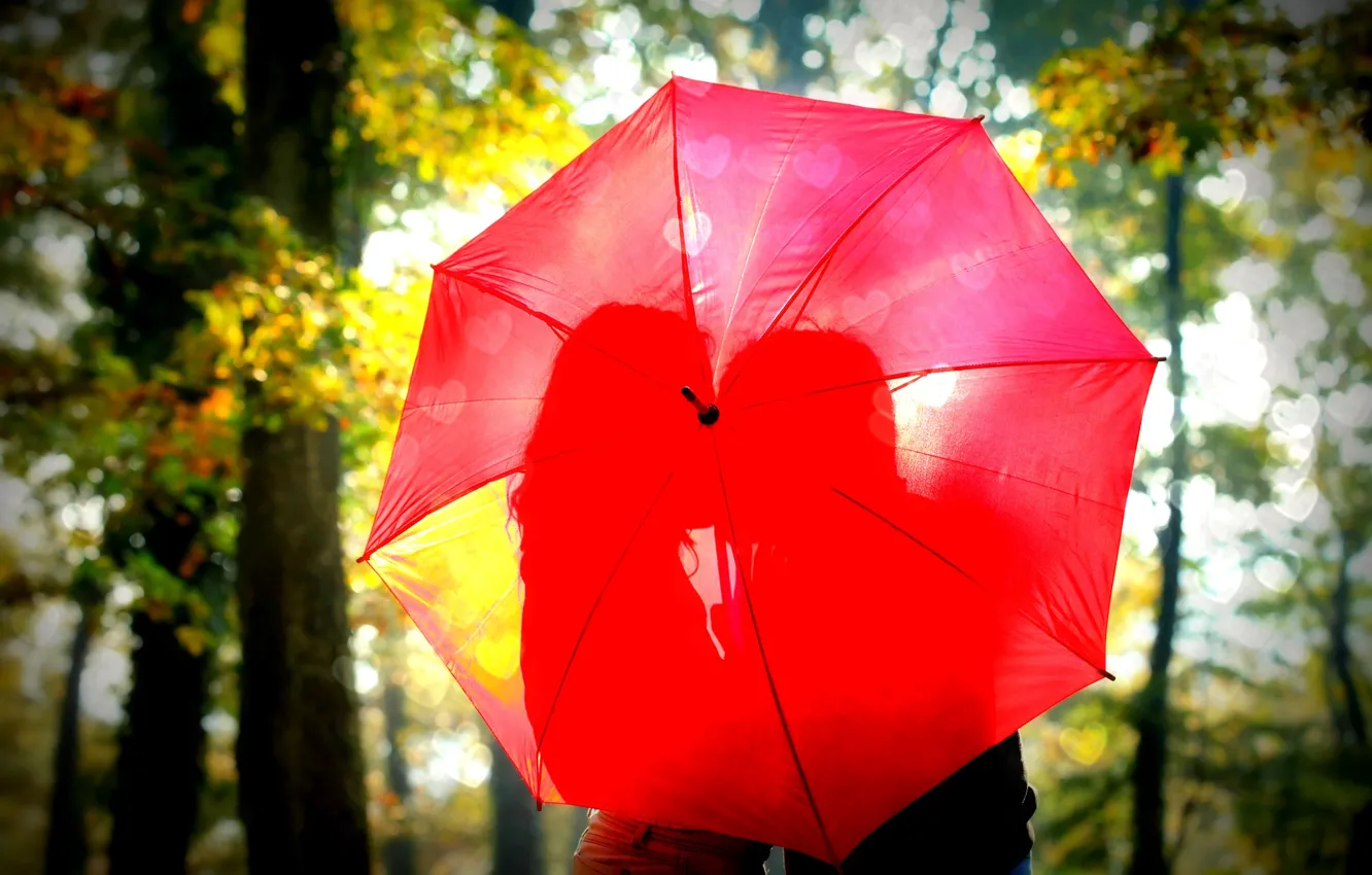 Photo wallpaper leaves, girl, the sun, trees, love, red, nature, umbrella