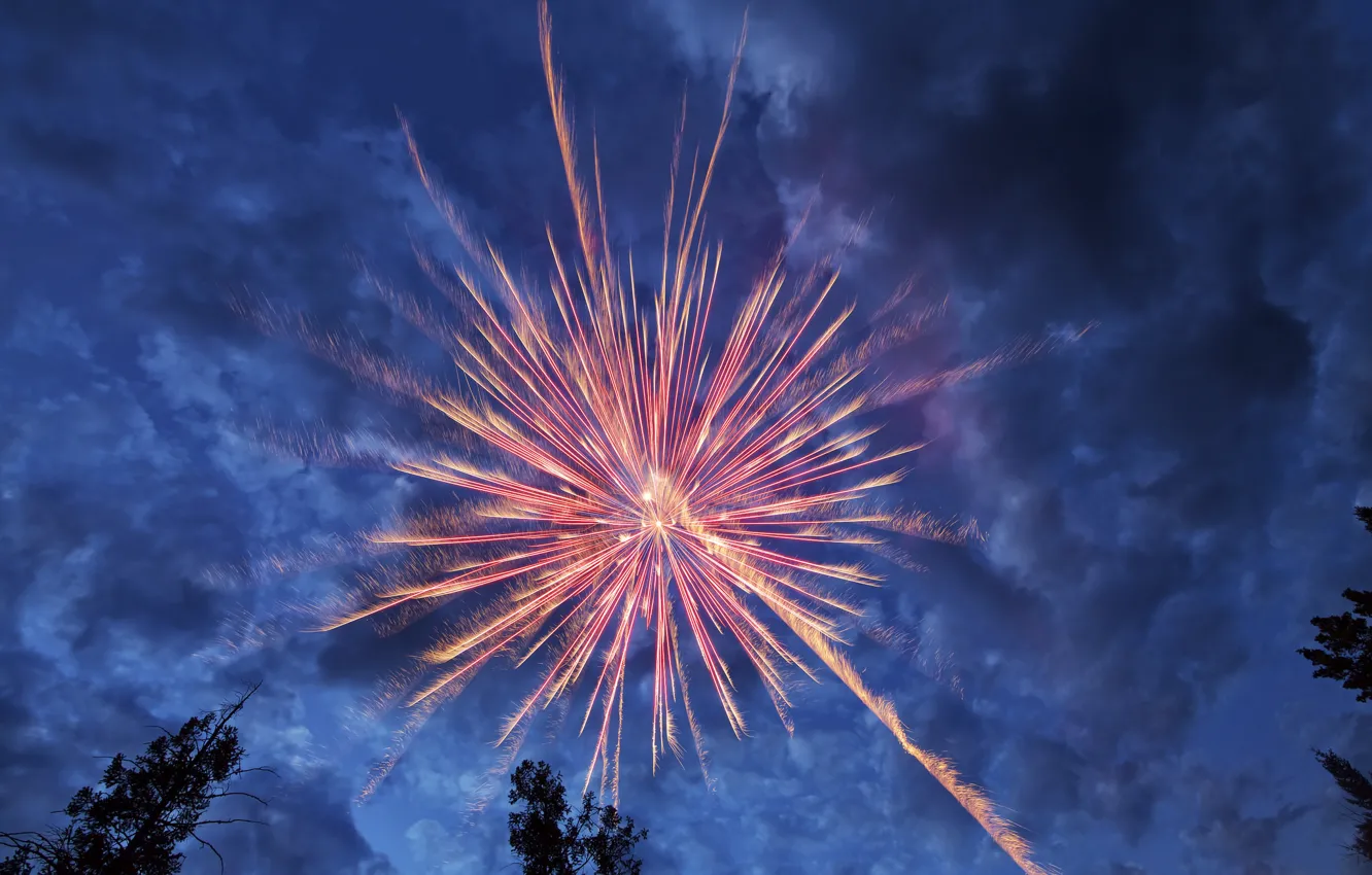 Photo wallpaper the sky, clouds, salute, the evening, fireworks