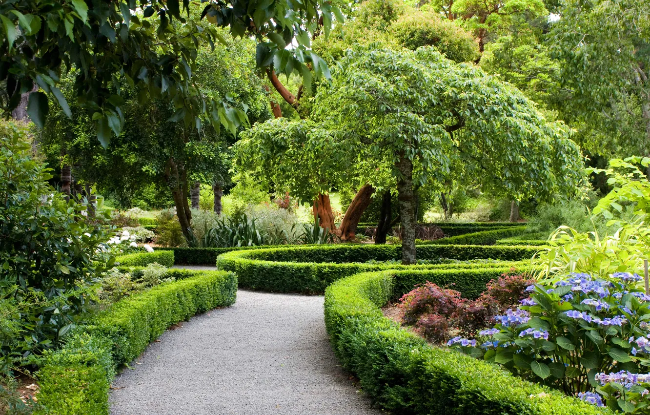 Photo wallpaper trees, flowers, nature, Park, plants, garden, track, trees