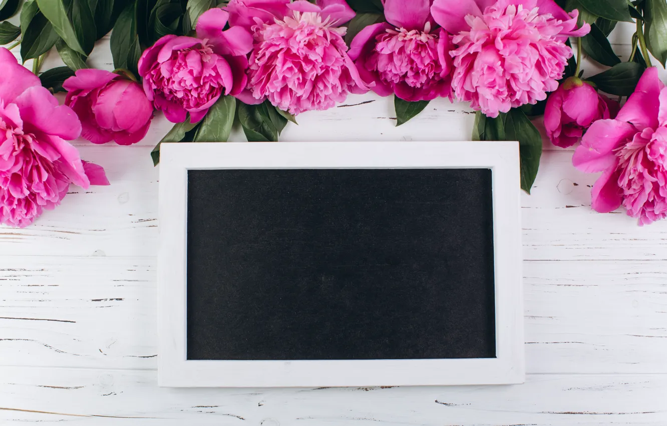 Photo wallpaper flowers, frame, pink, wood, pink, flowers, peonies, peonies