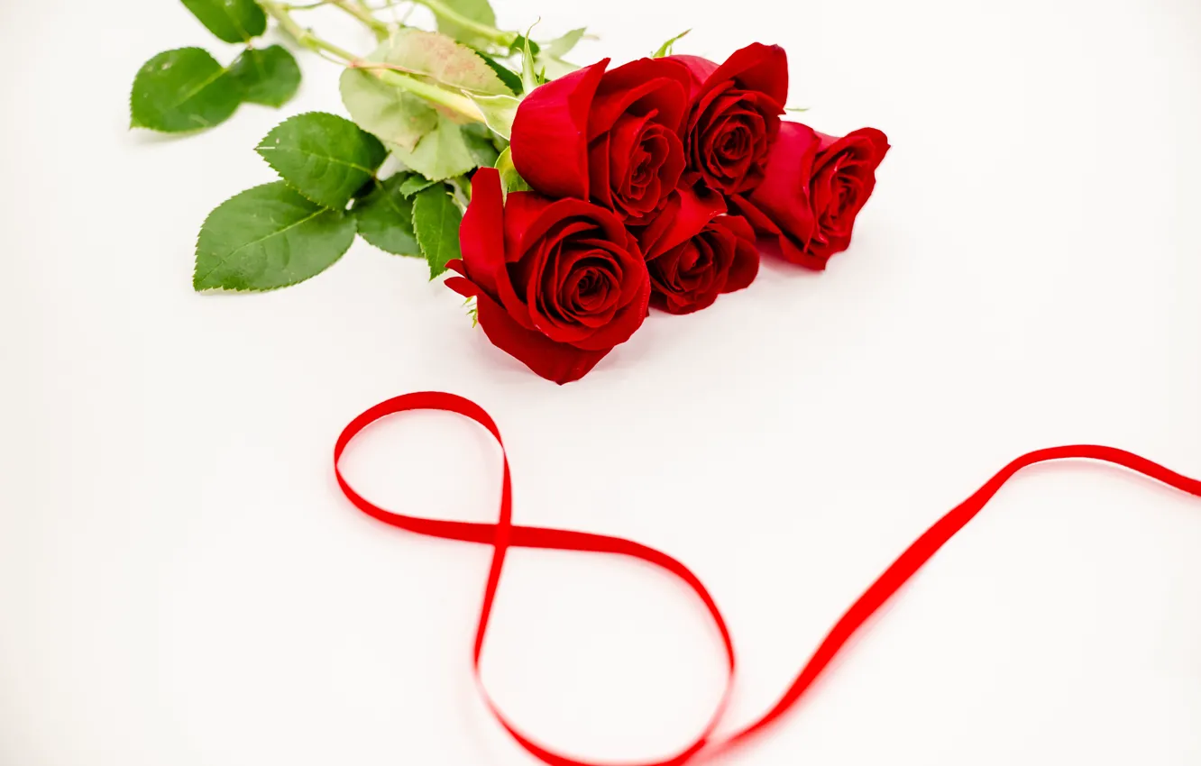 Photo wallpaper flowers, red, roses, tape, red, March 8, flowers, romantic