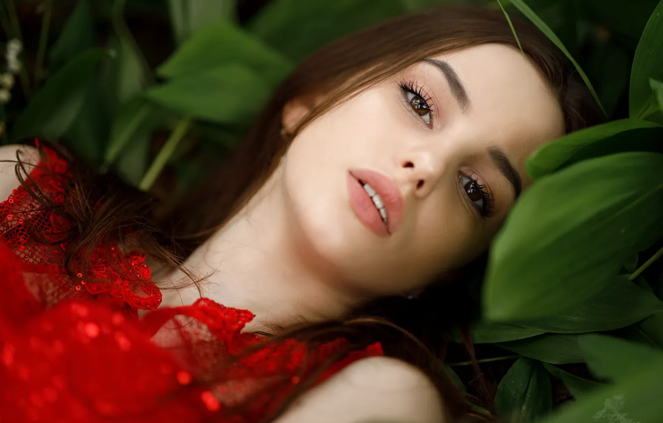 Photo wallpaper girl, dress, brown eyes, photo, photographer, leaves, model, lips