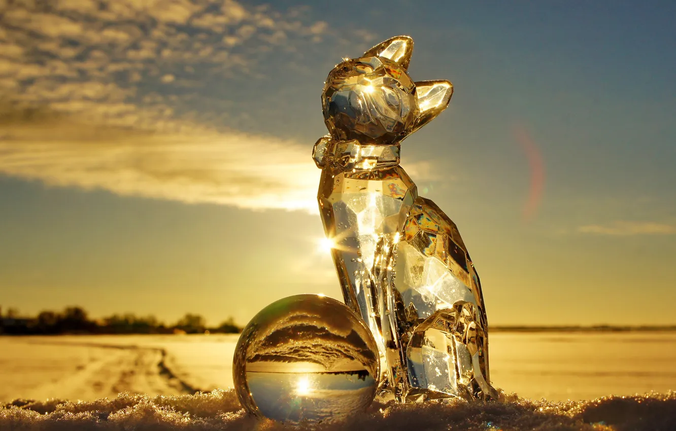 Photo wallpaper winter, cat, cat, the sun, rays, light, snow, landscape