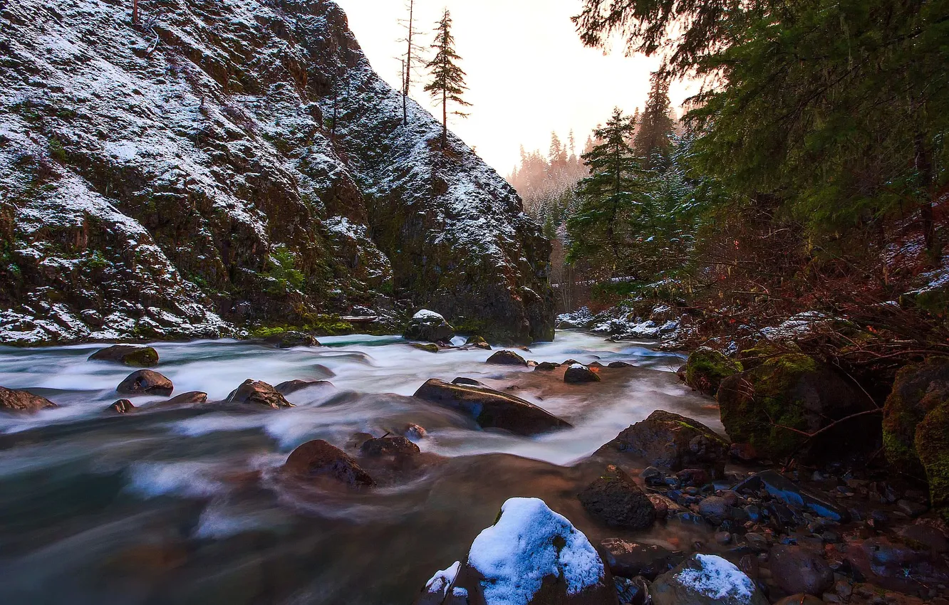 Photo wallpaper forest, the sky, snow, trees, mountains, river, stones, rocks