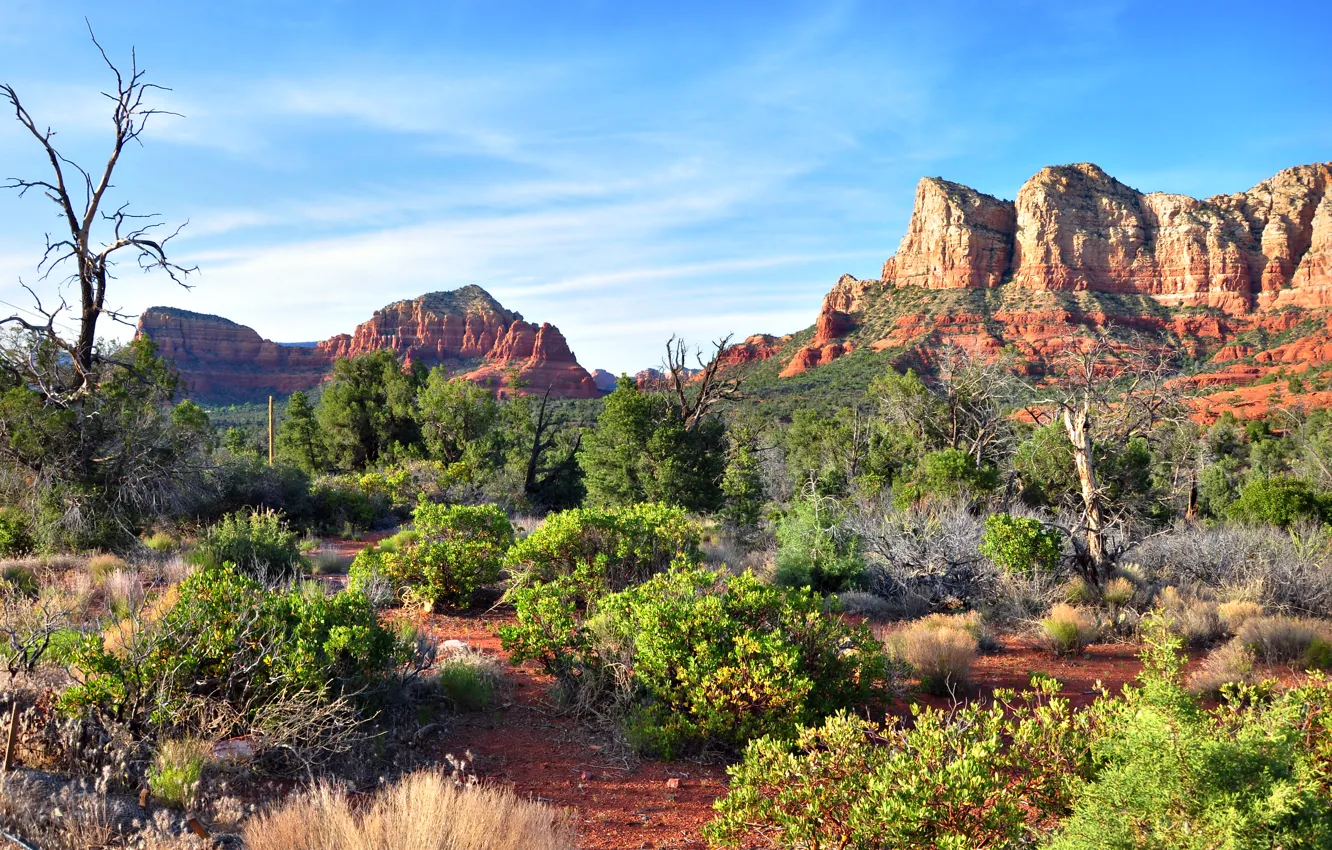 Photo wallpaper the sky, clouds, trees, mountains, nature, rocks, desert, the bushes