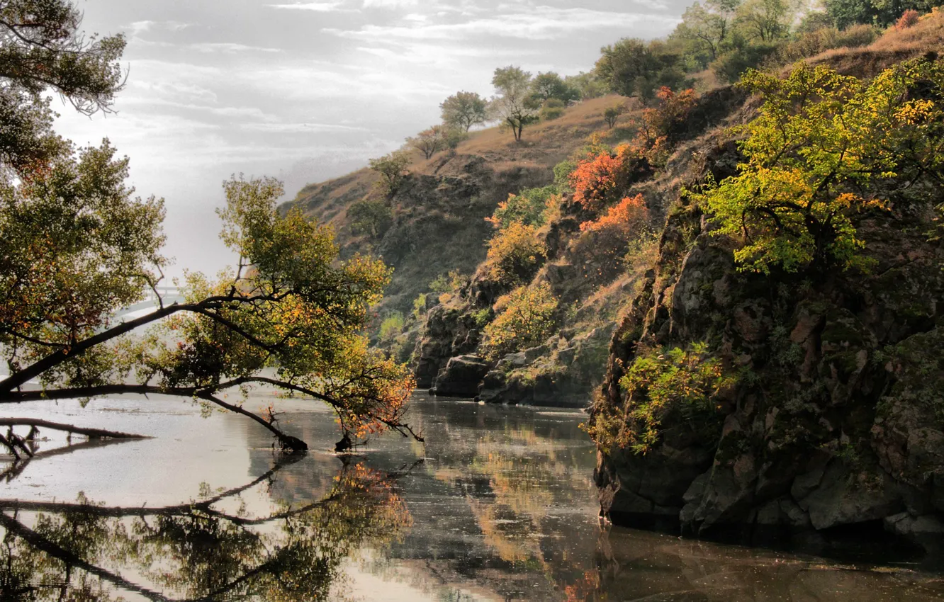 Photo wallpaper leaves, trees, river, island, Dnepr, Zaporizhia, Khortytsya