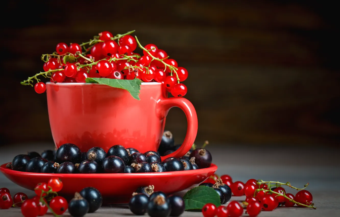 Photo wallpaper berries, mug, currants
