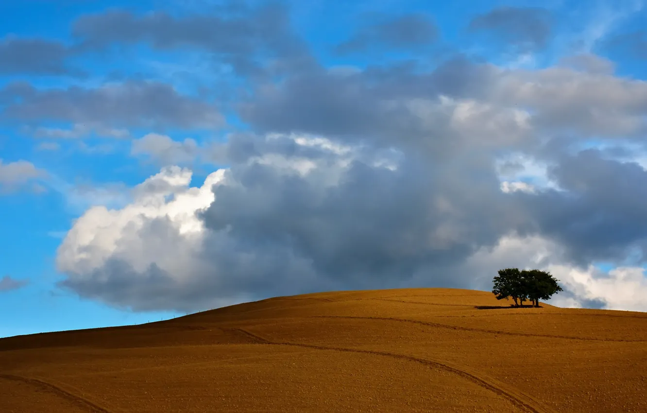 Photo wallpaper field, the sky, clouds, trees, hills