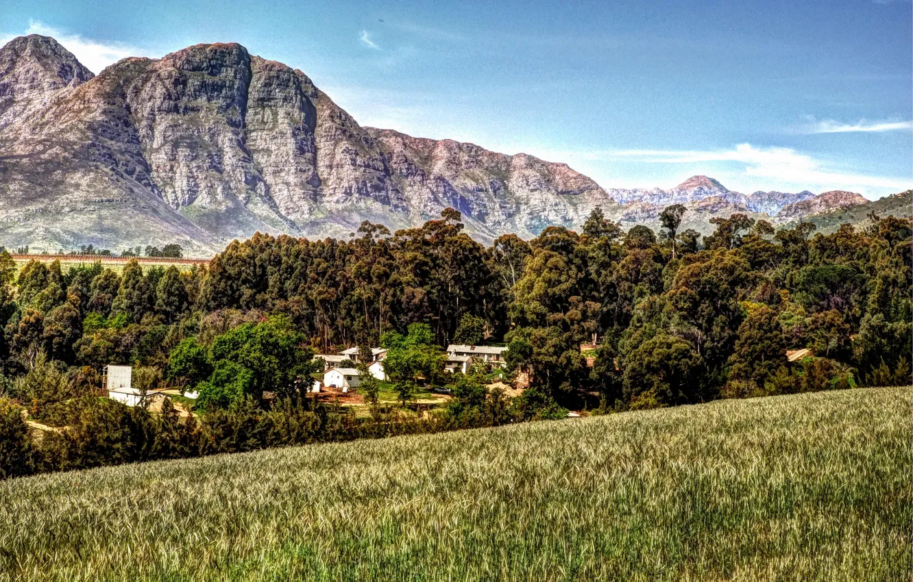 Photo wallpaper mountains, garden, South Africa, Kirstenbosch, national Botanical garden, Kirstenbosch