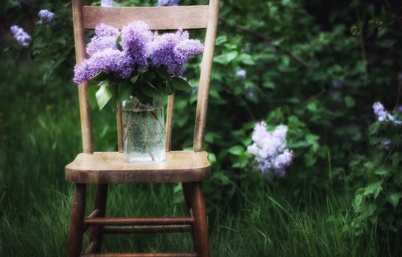 Photo wallpaper grass, leaves, branches, nature, chair, Bank, the bushes, lilac
