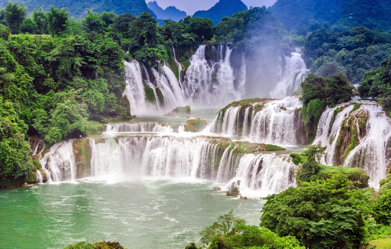 Photo wallpaper water, trees, Nature, waterfall flow