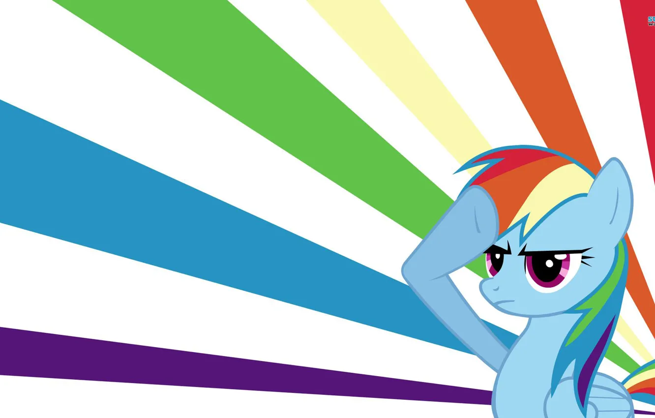 Photo wallpaper My Little Pony, Rainbow Dash, brony