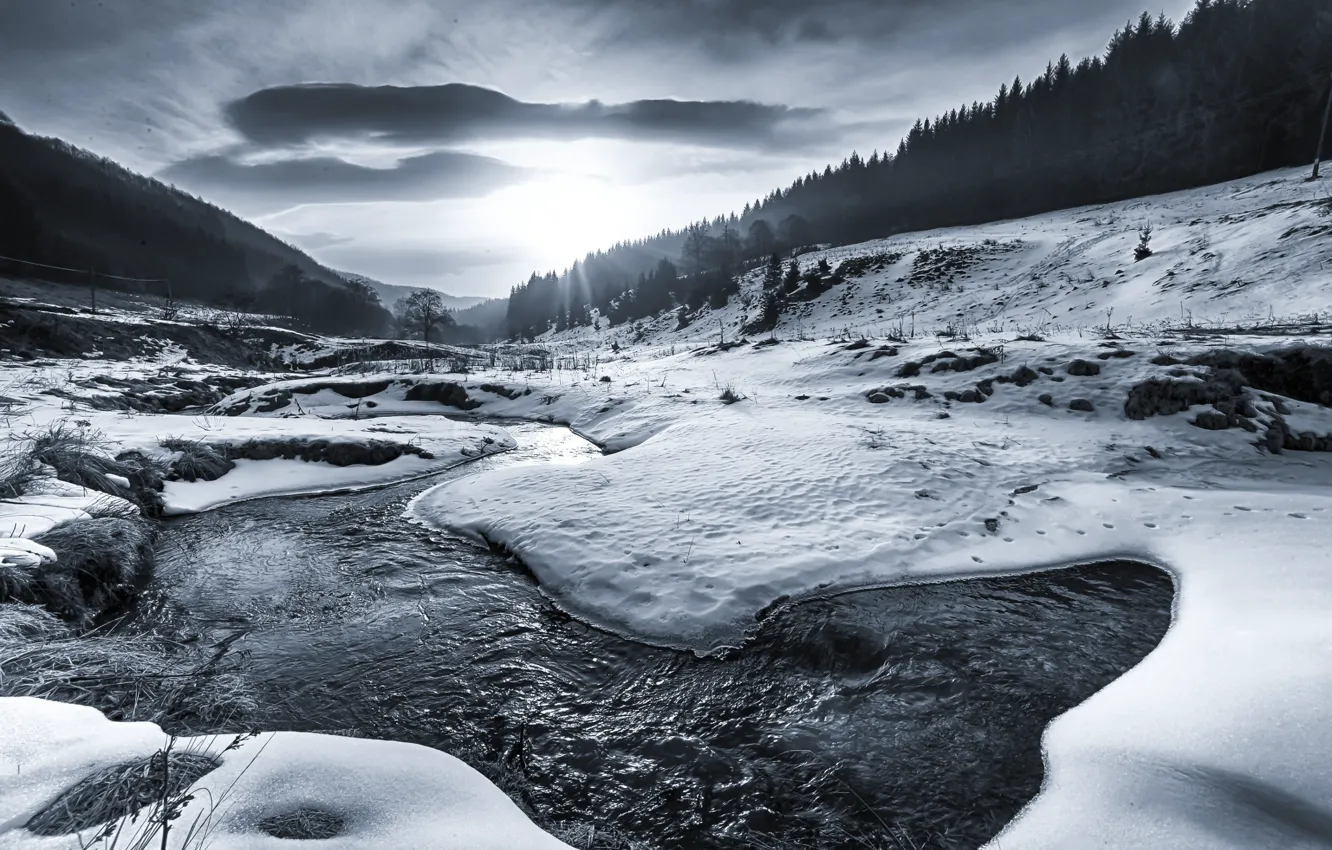 Photo wallpaper ice, forest, water, snow, river, dawn, black and white