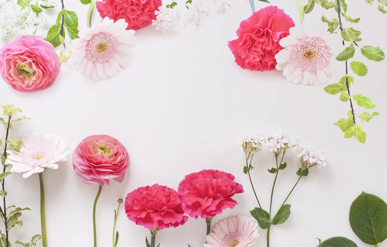 Photo wallpaper flowers, background, gerbera, Buttercup