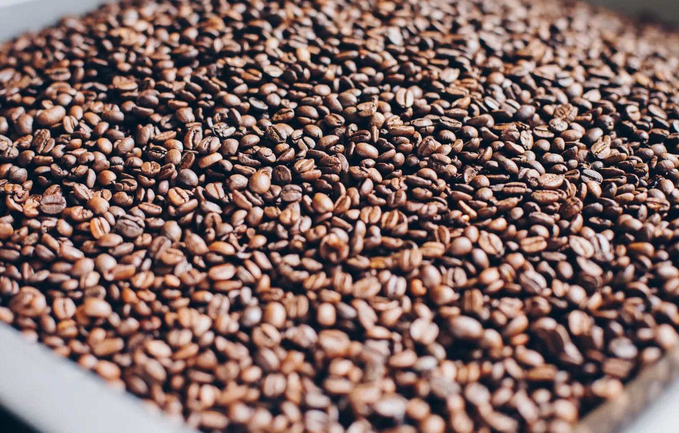 Photo wallpaper Grain, Coffee, A bunch, A lot, Coffee beans, Coffee, Close-up, Grain