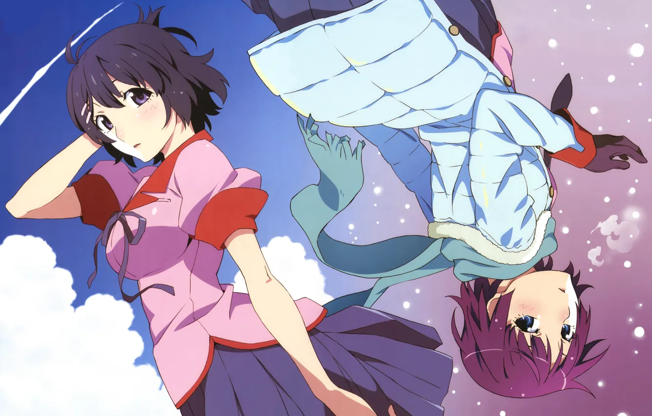 Photo wallpaper girl, two, anime, art, monogatari, Monogatari Series