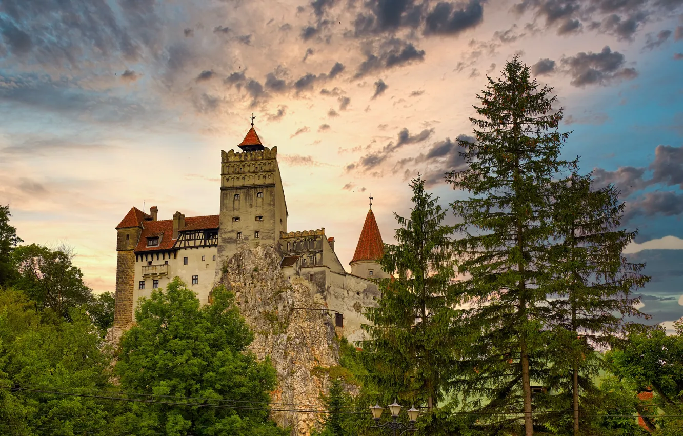 Photo wallpaper trees, Romania, Romania, Bran Castle, Brasov, Brasov, Bran Castle, Dracula's castle
