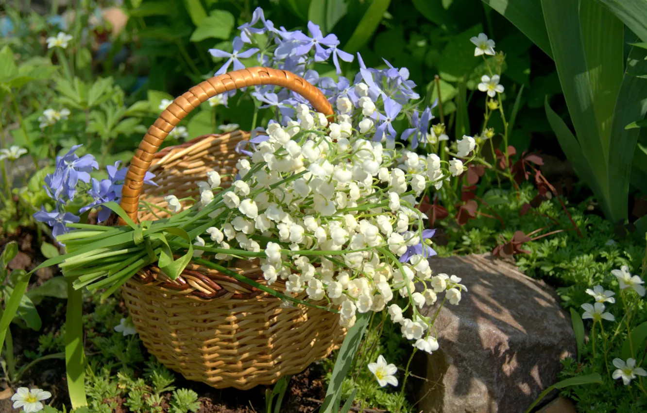 Photo wallpaper basket, lilies of the valley, periwinkle