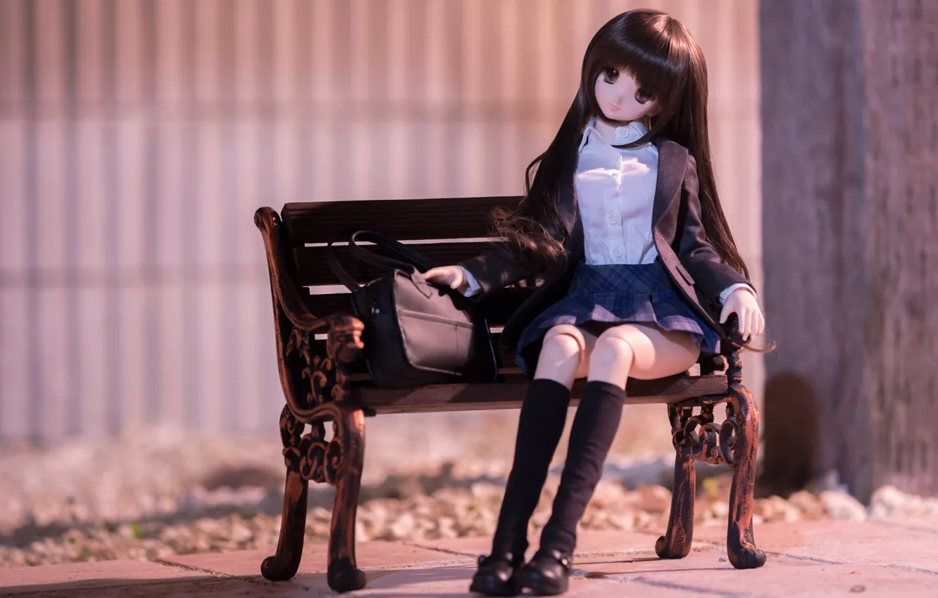 Photo wallpaper bench, toy, doll
