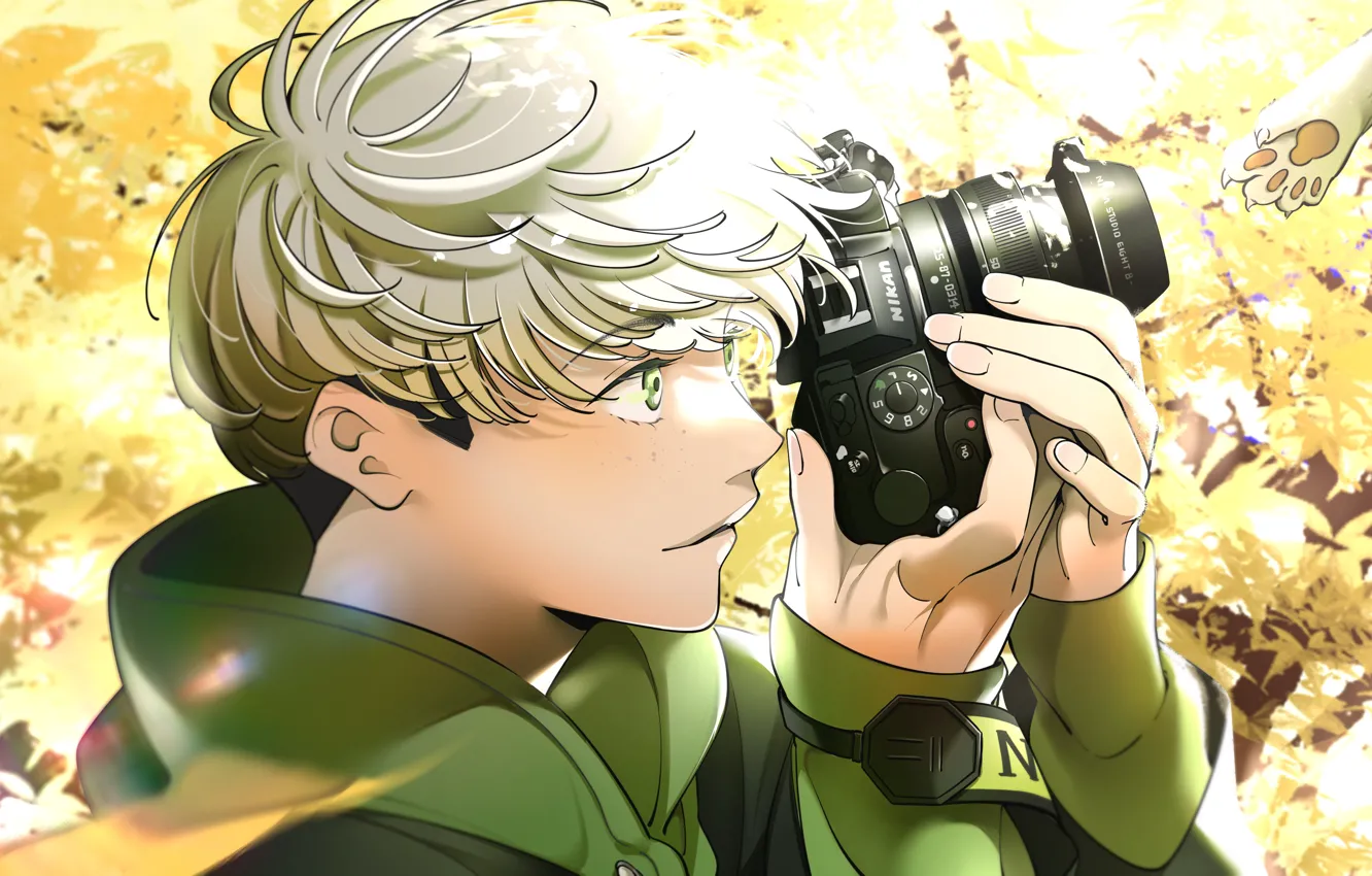 Photo wallpaper camera, guy, cat's paw